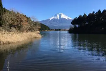 <p>Besides Shiraito Falls, Lake Tanuki is also very beautiful too and is famous as a spot to view Diamond Fuji that occurs only twice a year</p>

