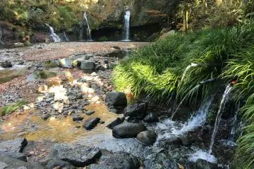 <p>Jimba Falls is less impressive but has convenient pipes for you to fill bottles of spring water with</p>
