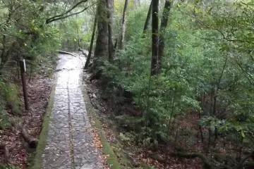 <p>There are some paved paths near the entrance</p>
