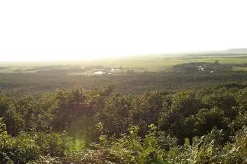 <p>Marshlands near Hokuto viewpoint&nbsp;</p>
