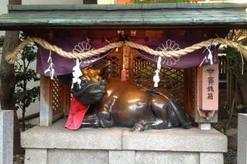 <p>Kamigyusha (God's Cowshed), which were believed to be able to heal&nbsp;<span style="color: rgb(85, 85, 85); font-family: Helmet, Freesans, sans-serif; line-height: 19.5px;">illness only by touching the statue.</span></p>
