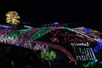 Winter Fantasy in Mannou Park is now in its 10th year
