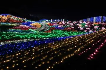 Illuminated grass area&nbsp;
