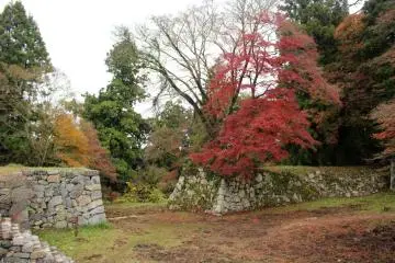 <p>A fiery maple on the Jugokentamon Gate and Turret foundations</p>
