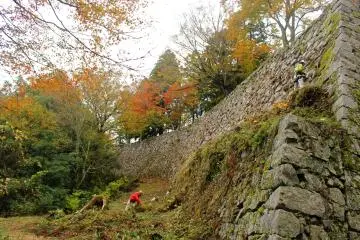 <p>Along the walls of the central bailey on the backside of the castle</p>
