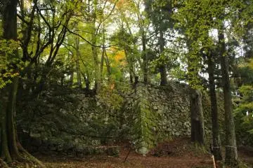 <p>The forest and the walls of the central bailey</p>
