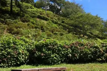 Picnic under the blue sky anyone?