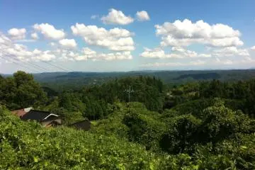 View from the car picnic
