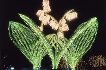 <p><span style="display: none;">&nbsp;</span></p>
