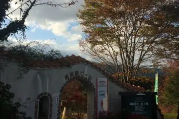 <p>There is also a brewery in St. Anna's Garden with a grass picnic area overlooking the area.</p>
