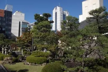 Gallery image