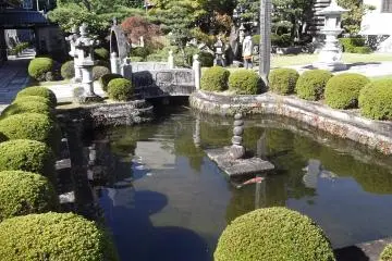 <p>It's relaxing to watch the fish glide around the pond</p>
