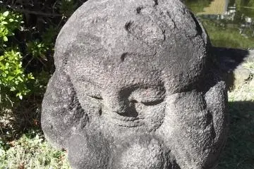 <p>This fellow seems not to be as happy as the rest</p>
