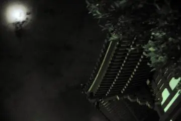 <p>De nuit, la beaut&eacute; du Kōfuku-ji est hypnotisante</p>