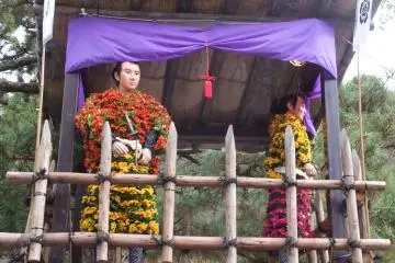 Chrysanthemum dolls!
 (Photo: Preethu P)