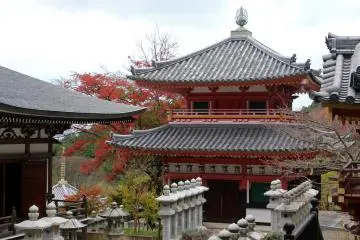 <p>Bagian belakang Aula Jigendo</p>
