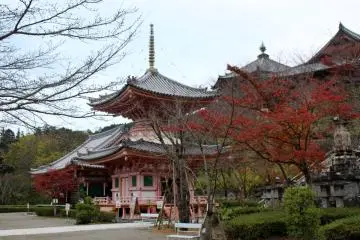 <p>Harta Karun Pagoda Taho-to dihalangi oleh pohon maple</p>
