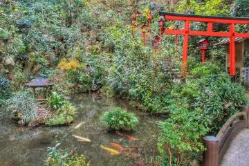 One of the many beauiful details: a pond with carp and a red torii (wooden gate)