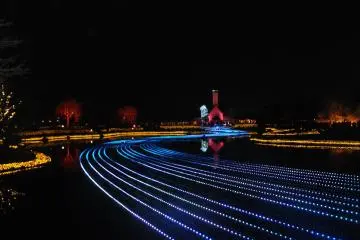 <p>The winter illumination at the pond</p>
