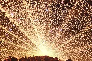 <p>Tunnel of illuminations</p>
