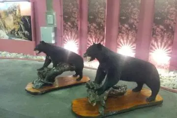 Stuffed wildlife in the tunnel