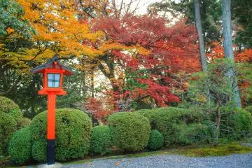 Beautiful autumn colors at Kenkun Jinja
