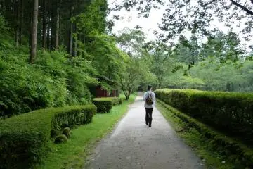 Stone Park