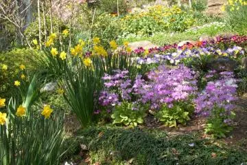 The colors are stunning