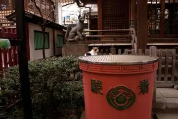 Stone tanuki and friend at Yanagimori shrine in Akihabara