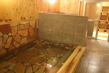 <p>The indoor bath</p>
