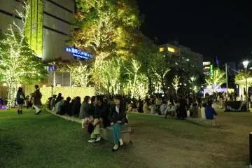 <p>Kego Park after dark with Christmas decorations</p>
