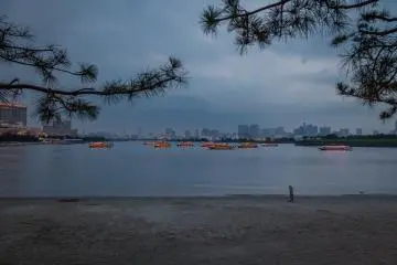 <p>Odaiba beach</p>
