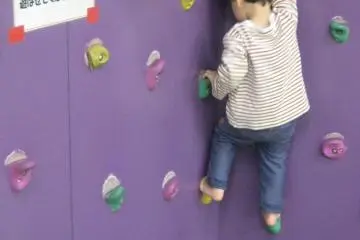 Climbing wall (Photo: S. C. Kurokawa)