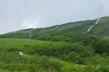 The boardwalk trail above 1600