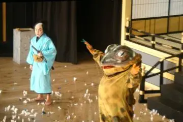 <p>Frog in the Kabuki performance</p>
