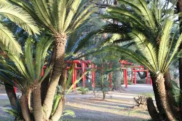 Menjelajahi Kota Miyazaki