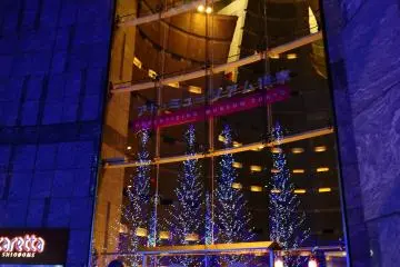 <p>The nearby Caretta Shiodome shopping complex offers plenty of restaurants for dining before or after the light show.</p>
