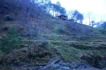 <p>Two of the bungalows from the lobby deck<br />
&nbsp;</p>
