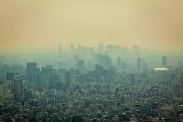 Skytree Views
