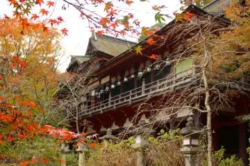 <p>The Main Prayer Hall</p>
