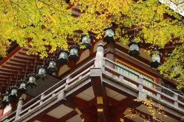 <p>The lanterns of the prayer hall and the leaves fit together like a jigsaw puzzle</p>
