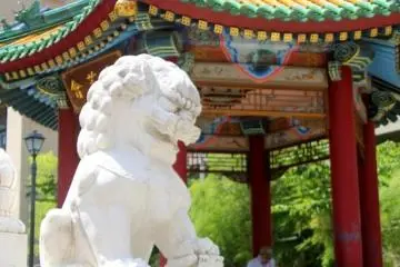 Roar! Roar! Roar! Said the Lion...