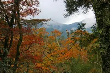<p>The view from the overlook's parking lot</p>

