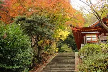 <p>The stairway to the Kanden Hall and Hiei Shrines</p>
