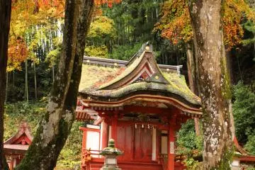 <p>One of the larger Hiei Shrines<br />
&nbsp;</p>
