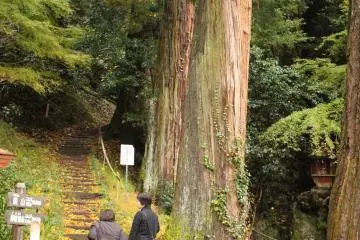 <p>The stairs to Mt. Goharetsu</p>
