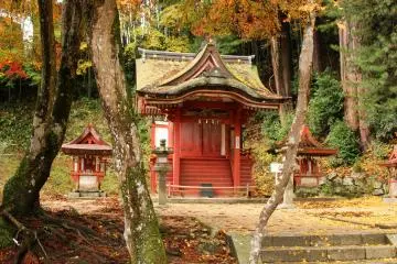 <p>Three Hiei Shrines framed by the trees</p>
