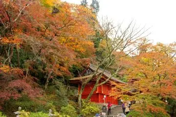 <p>The West Treasure House</p>
