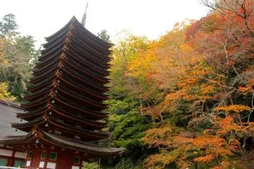 <p>The 13-story Pagoda and the foliage</p>
