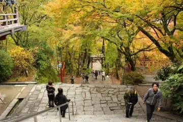 <p>Looking down the main stairway</p>
